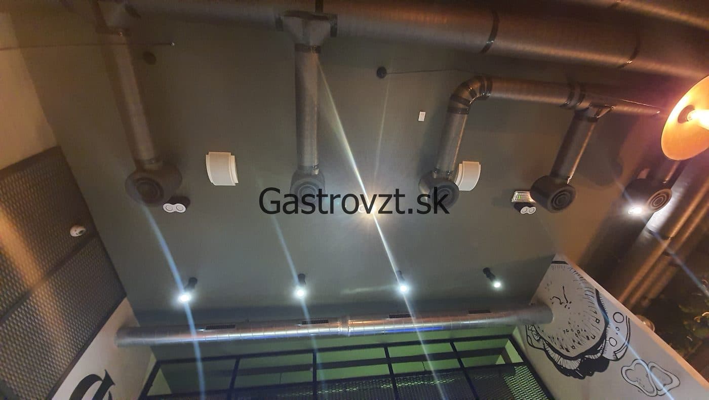 Gastrovzt · 03