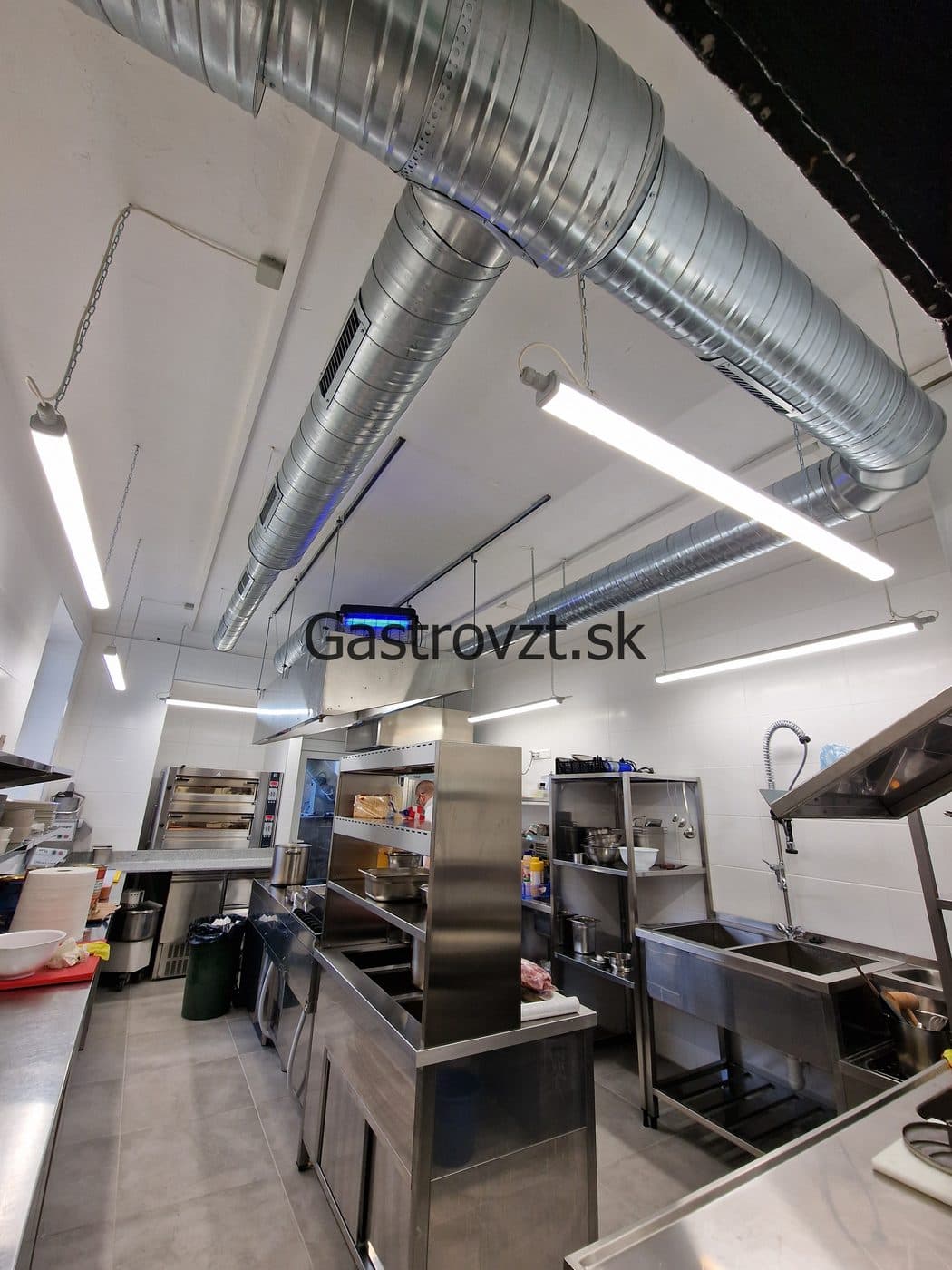 Gastrovzt · 14