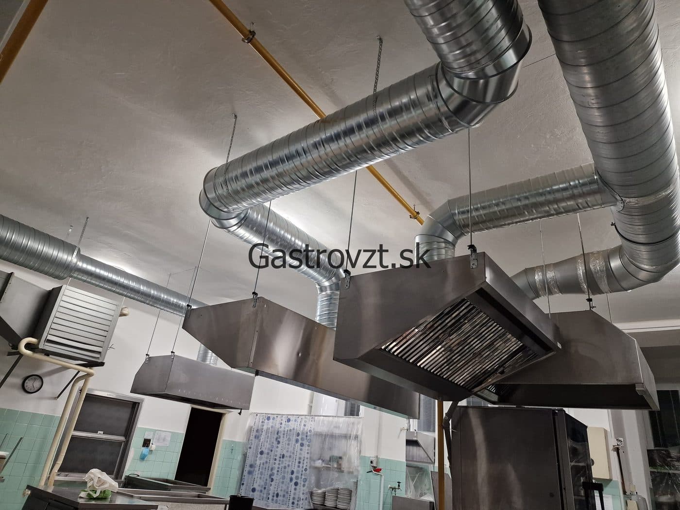 Gastrovzt · 15