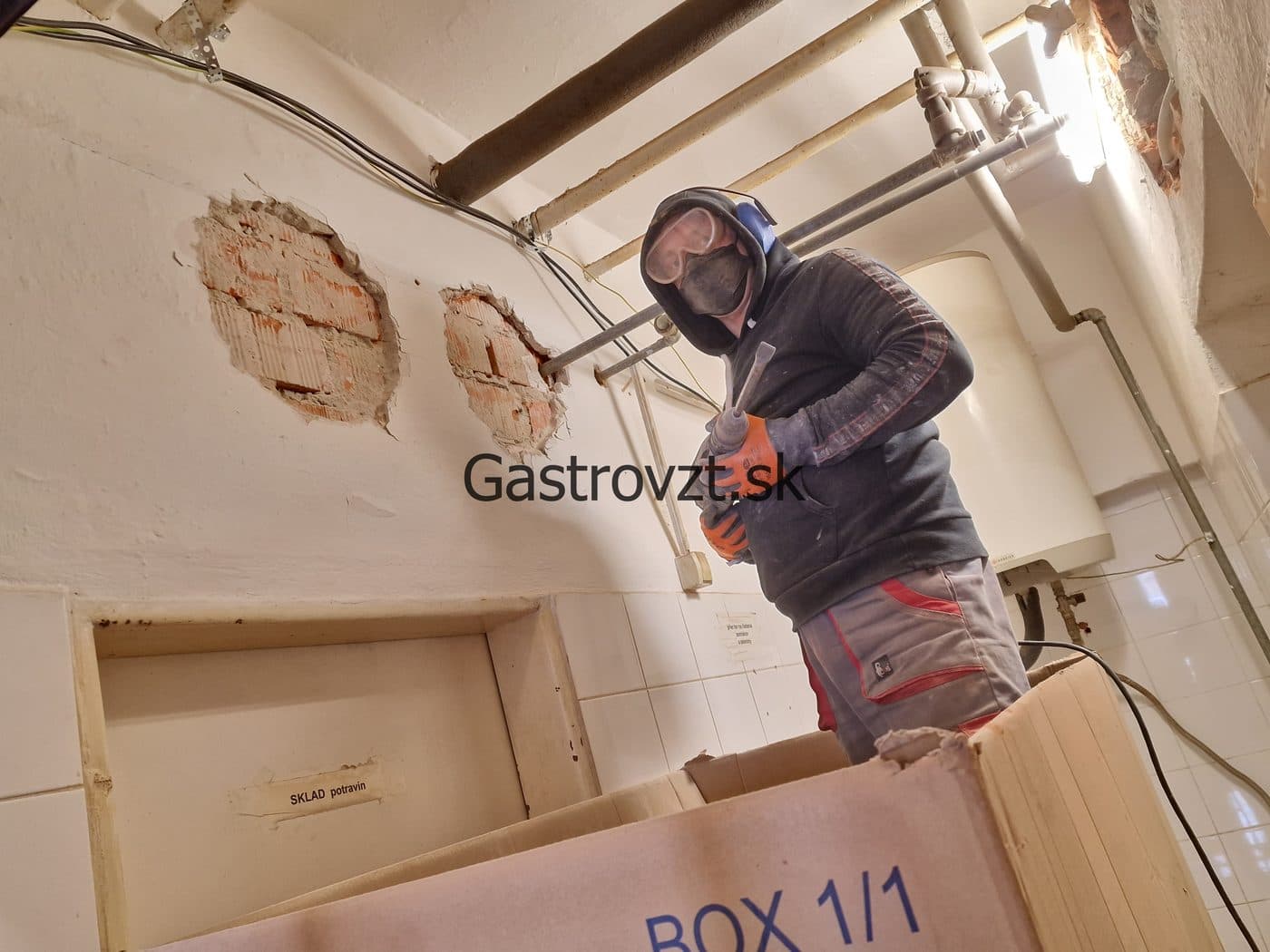 Gastrovzt · 19