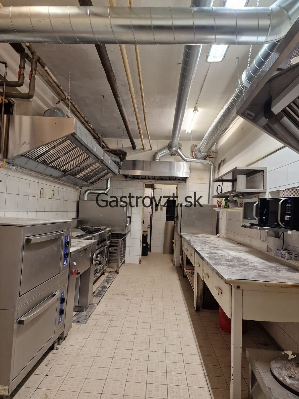 Gastrovzt · 20