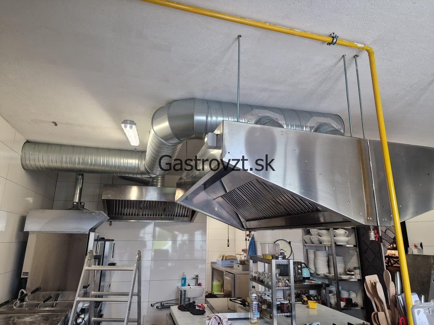 Gastrovzt · 22