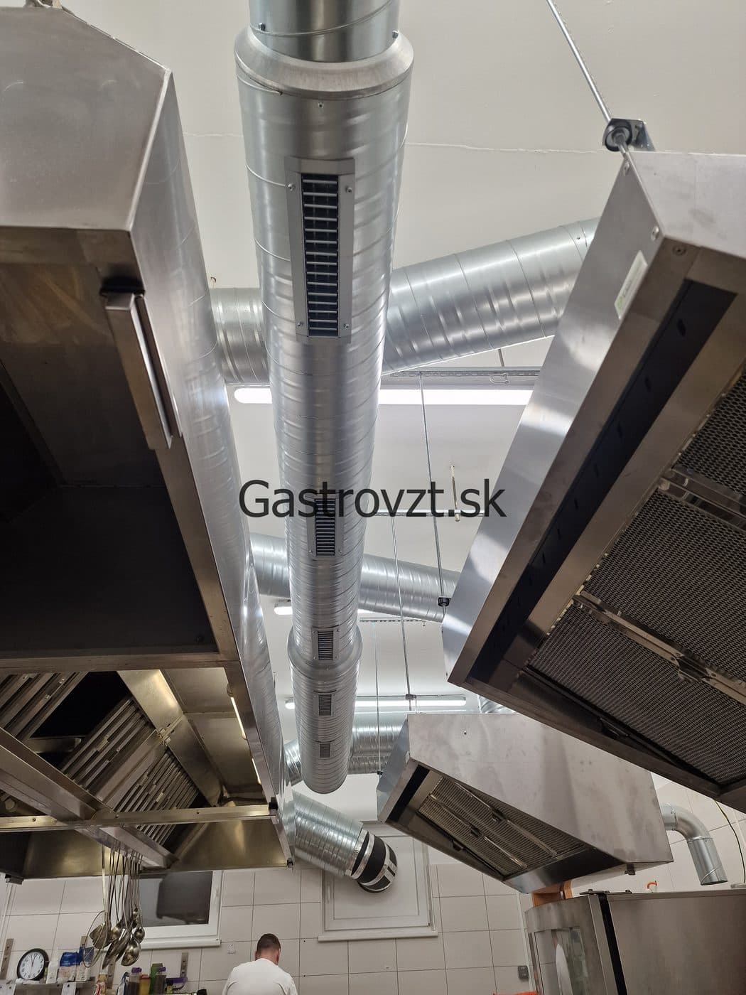 Gastrovzt · 27