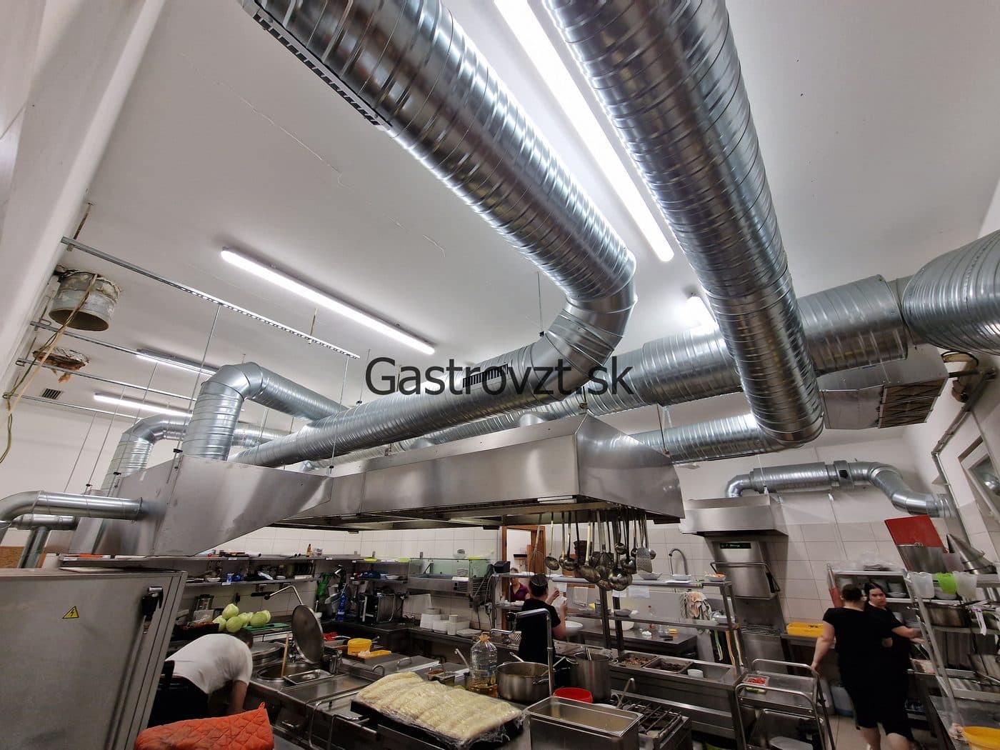 Gastrovzt · 28