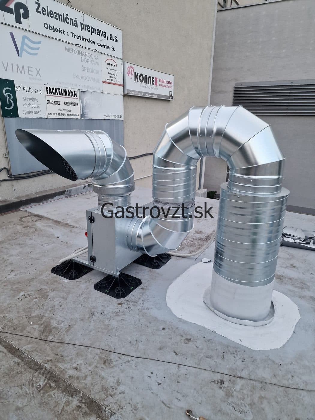 Gastrovzt · 35