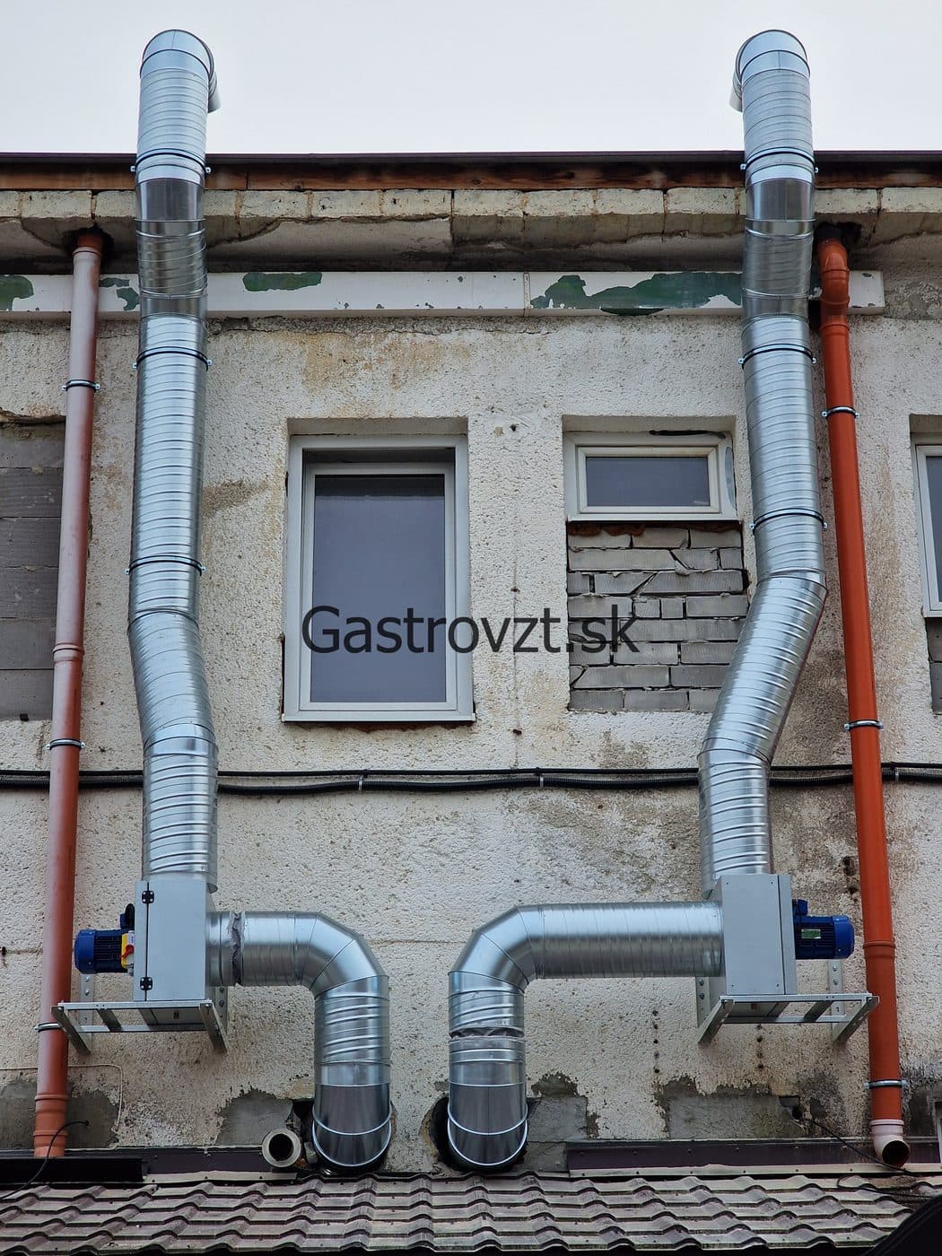 Gastrovzt · 40