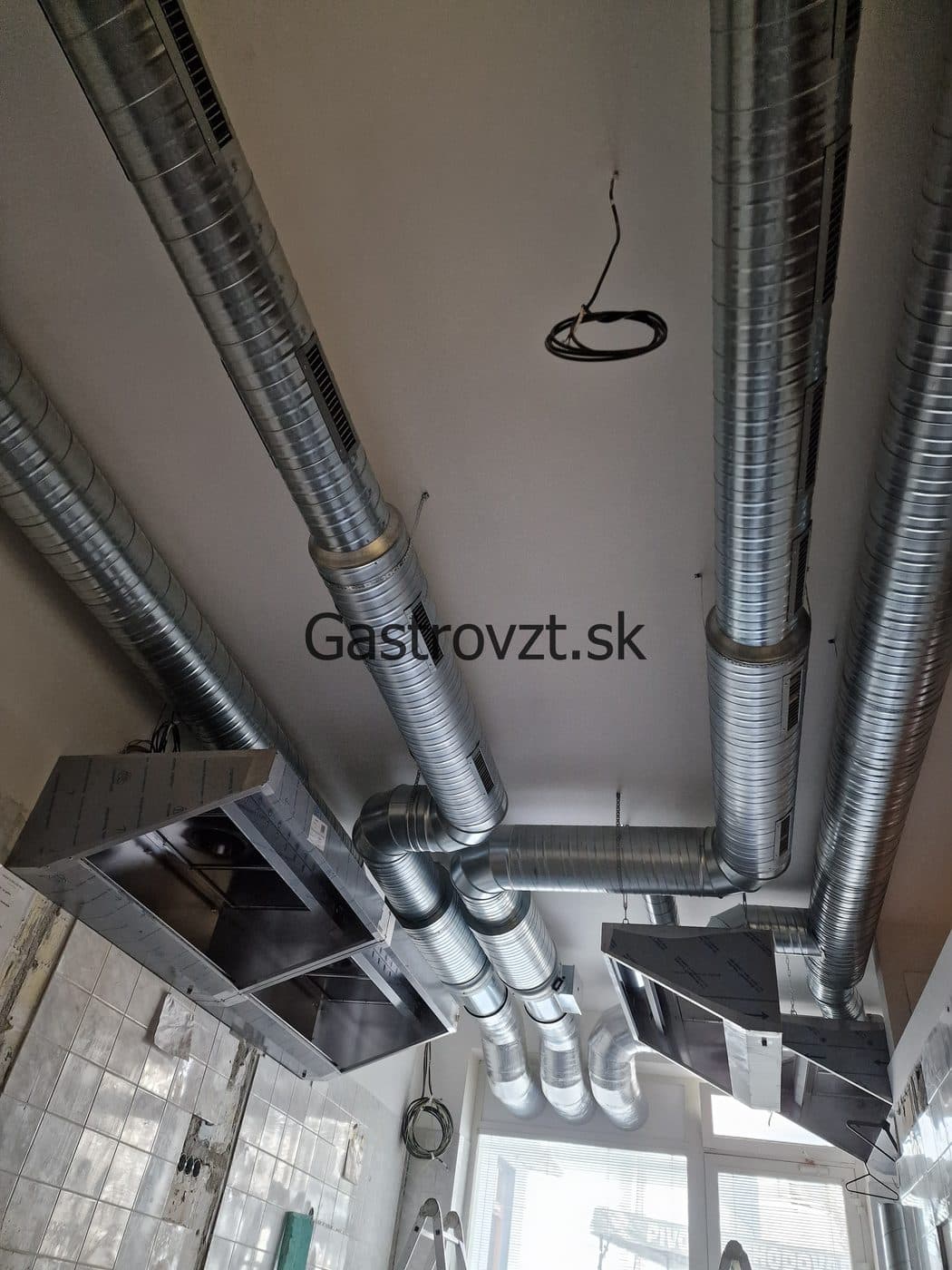 Gastrovzt · 45