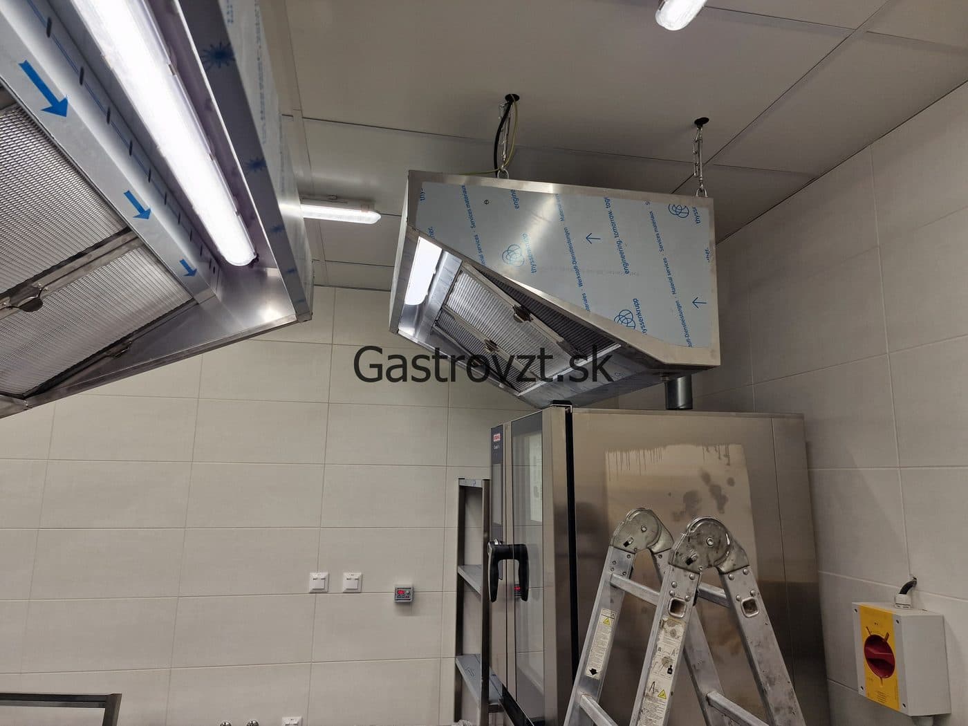 Gastrovzt · 52