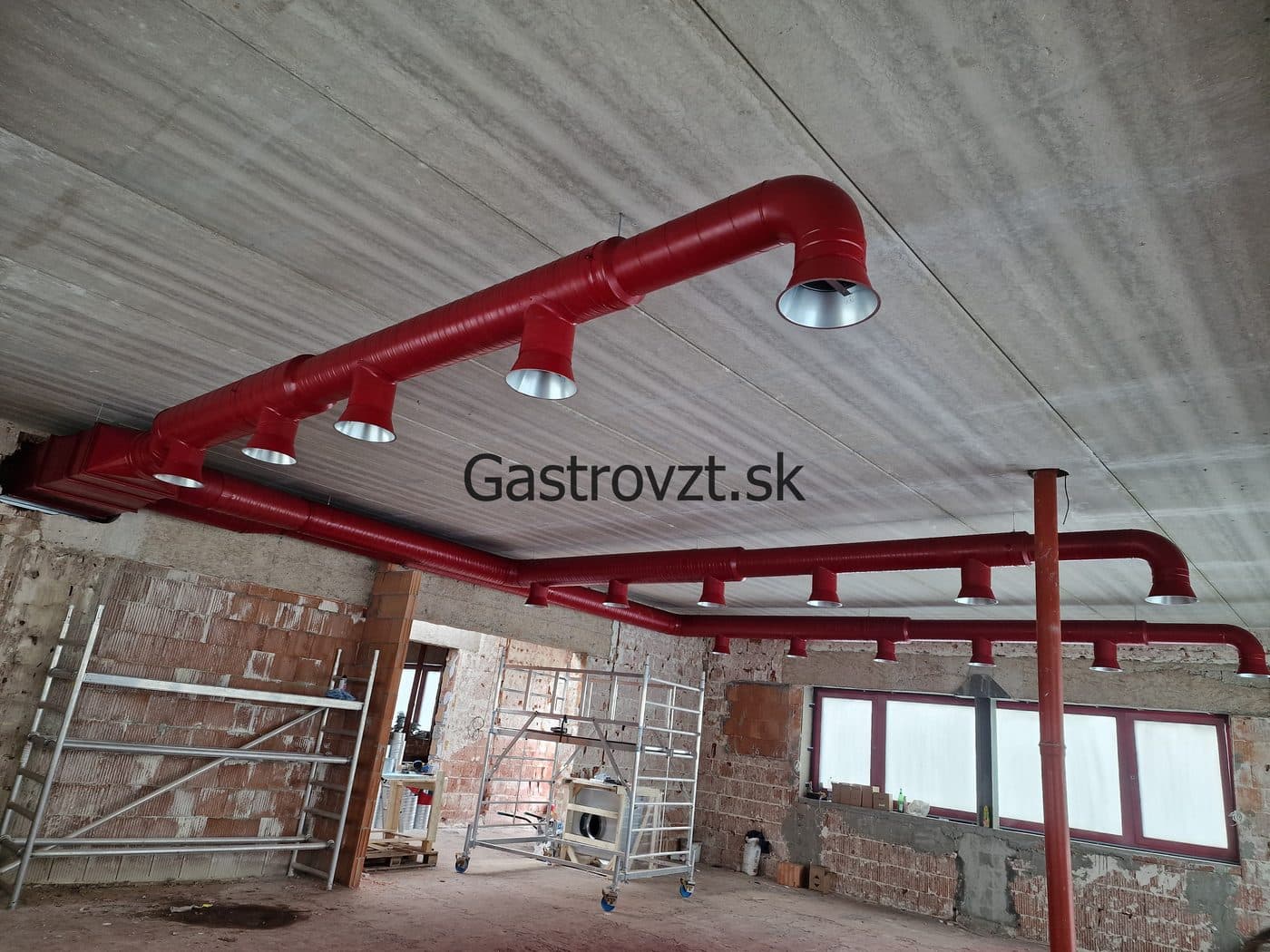 Gastrovzt · 55