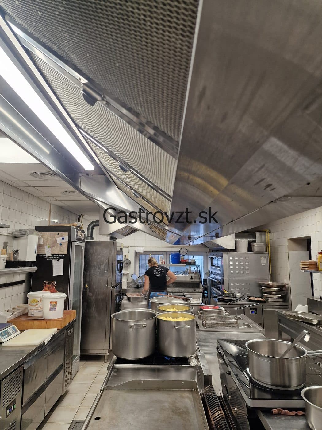 Gastrovzt · 59