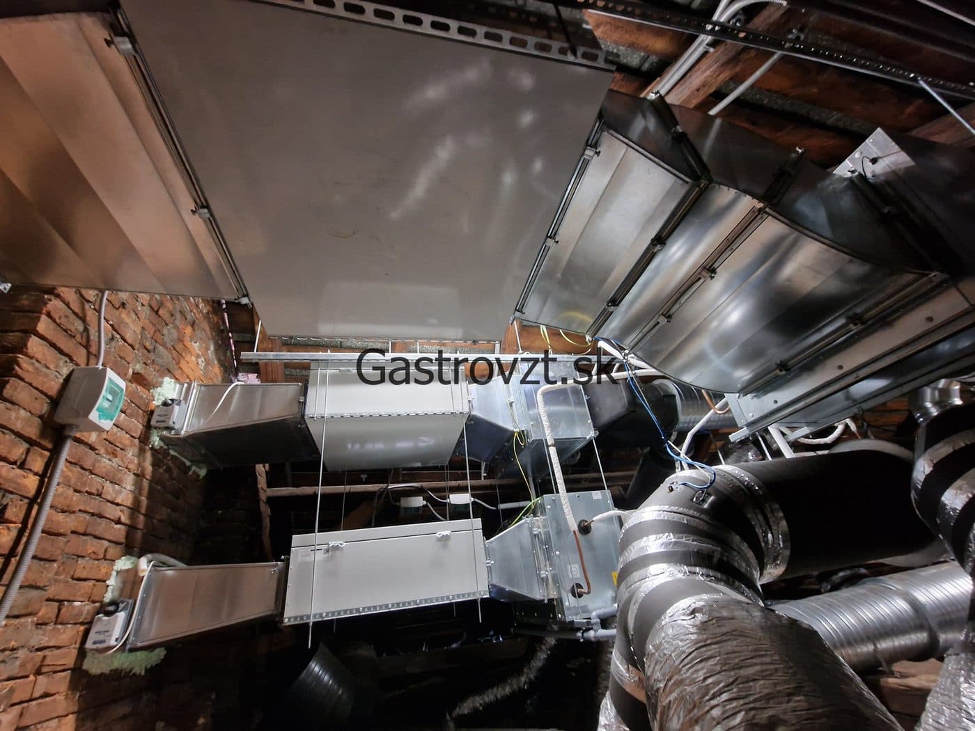 Gastrovzt · 61