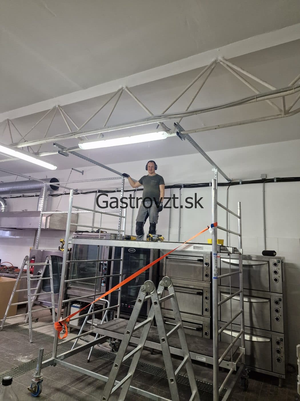Gastrovzt · 65