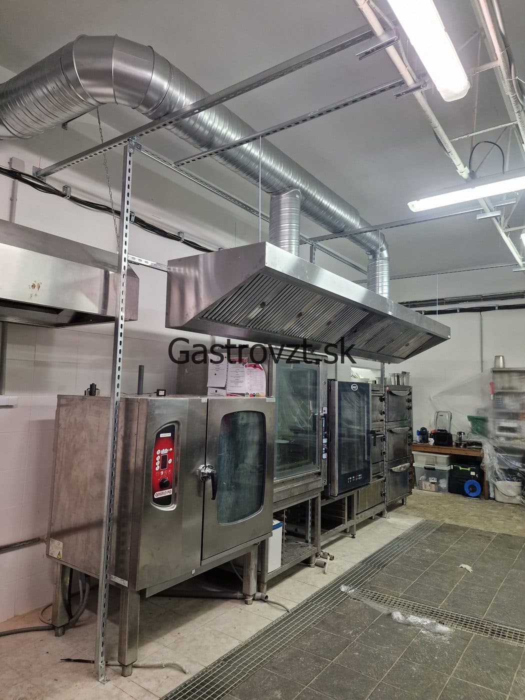 Gastrovzt · 67