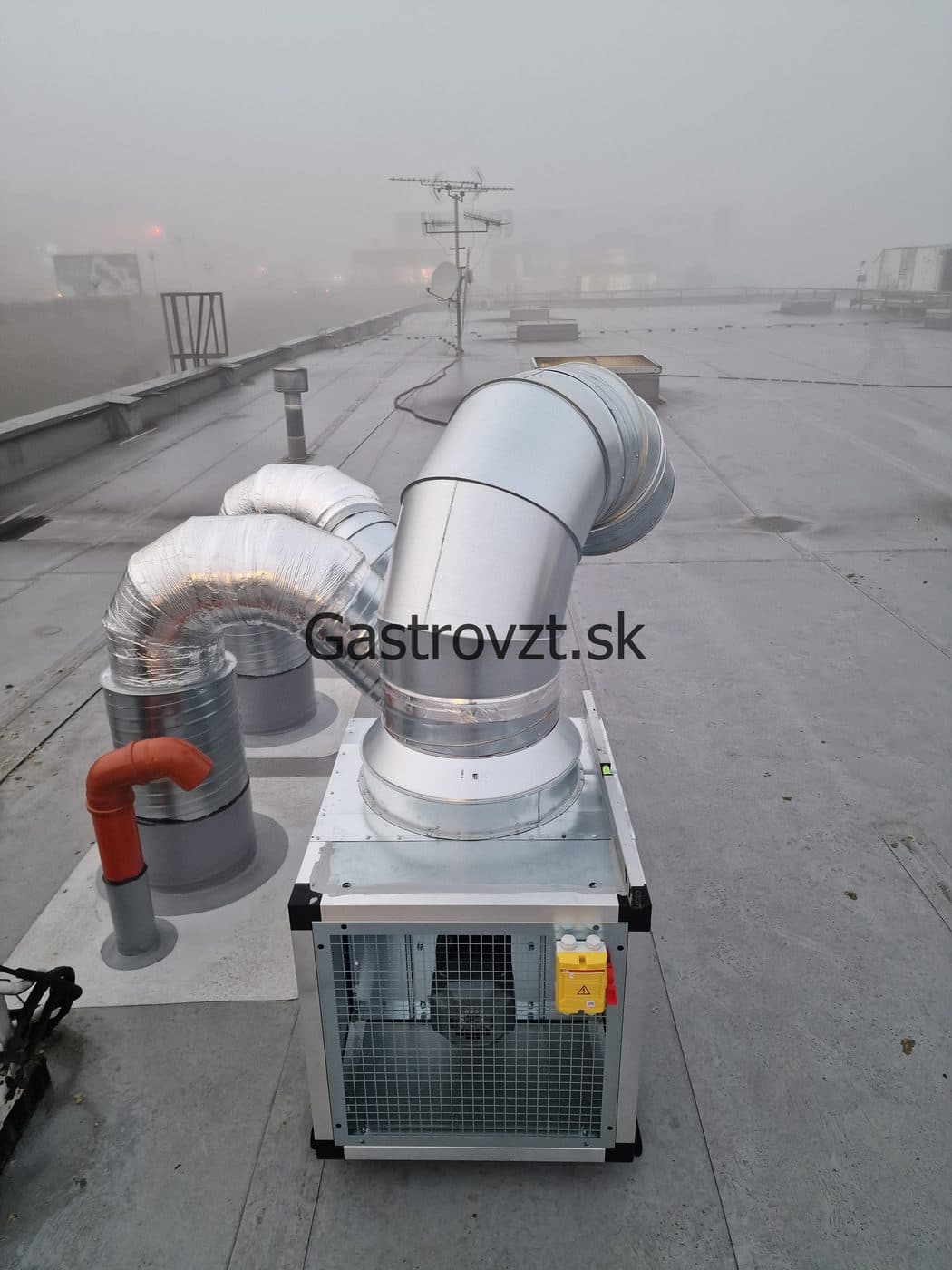 Gastrovzt · 68