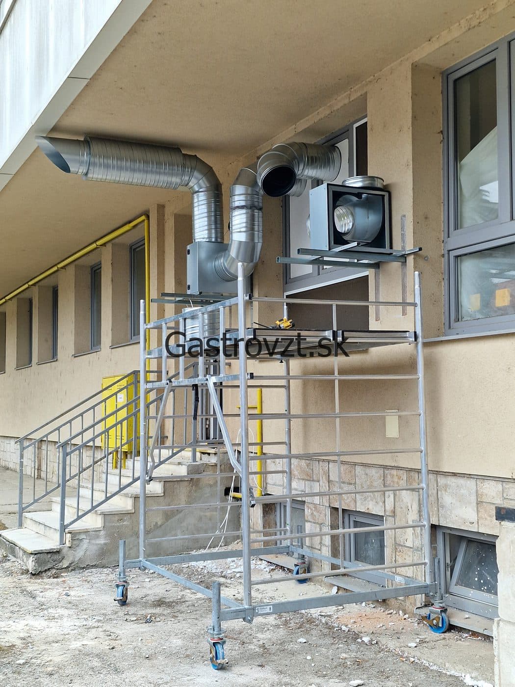 Gastrovzt · 69