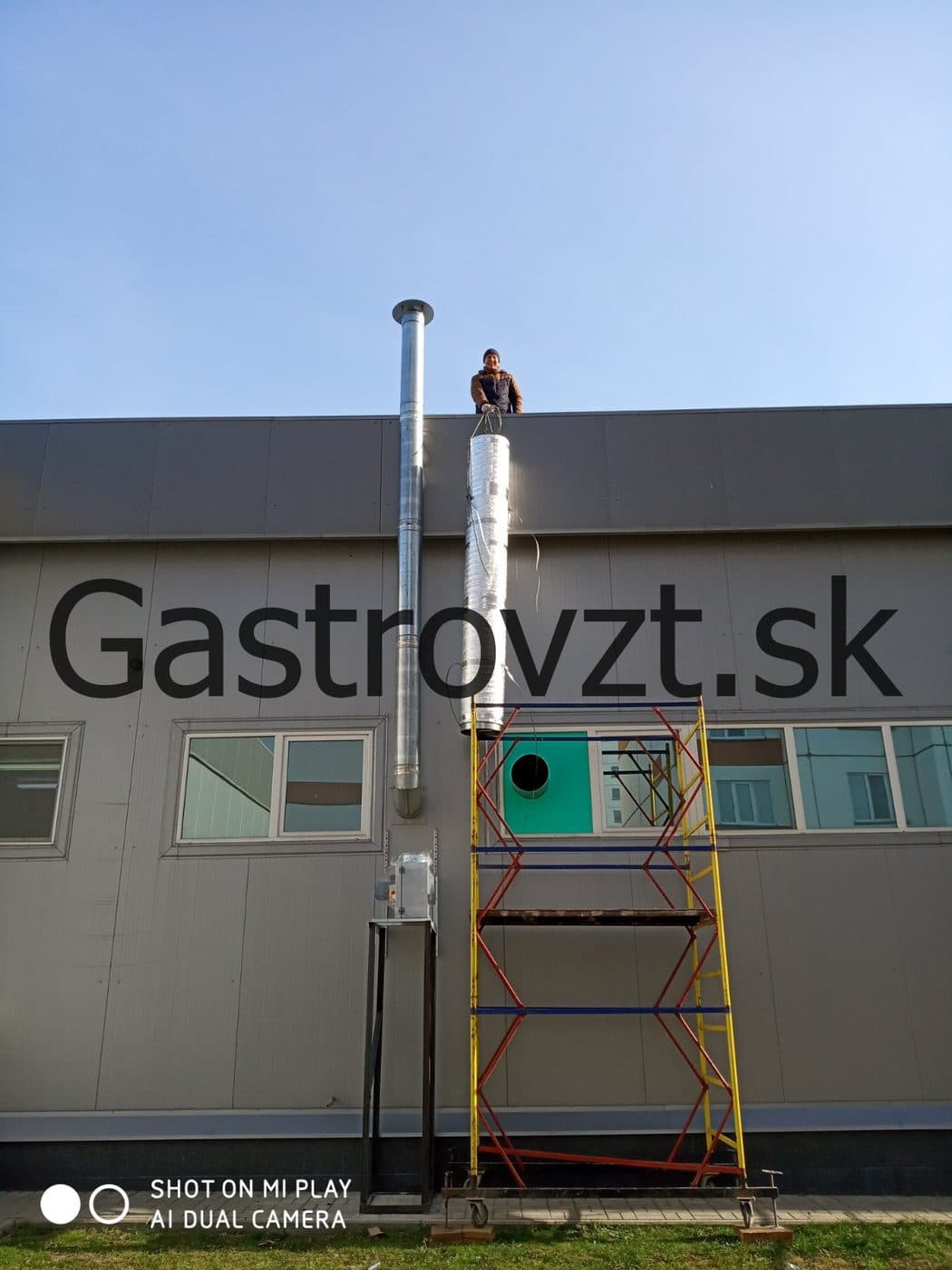 Gastrovzt · 73